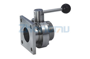 End flange/end thread butterfly valve