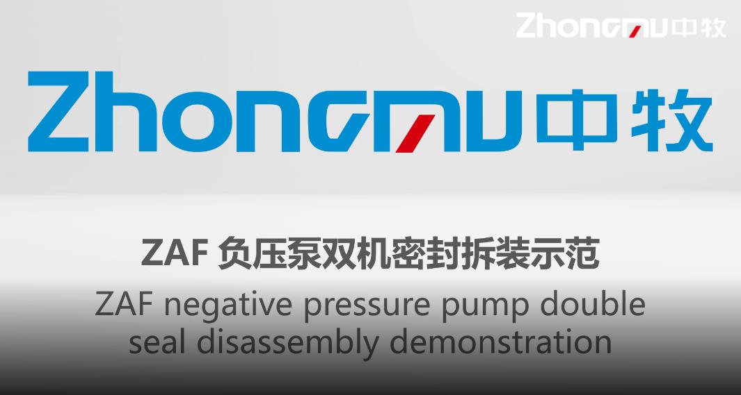 Negative pressure pump