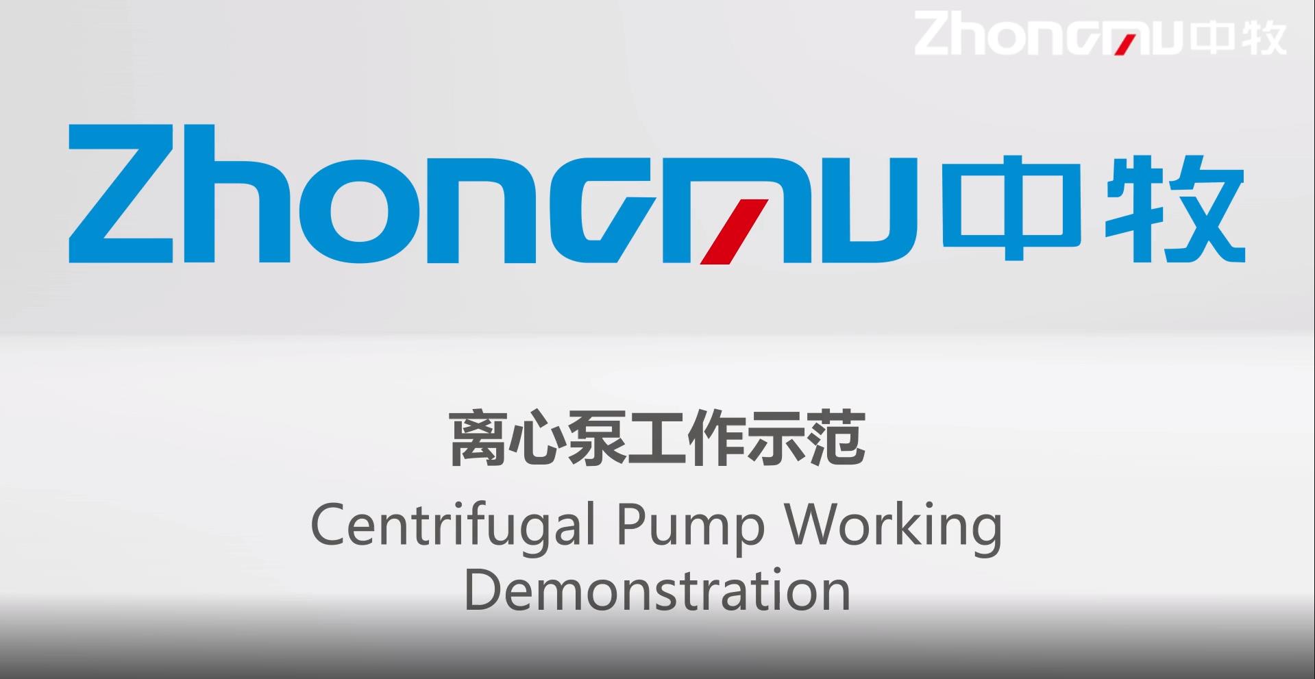 Centrifugal pump