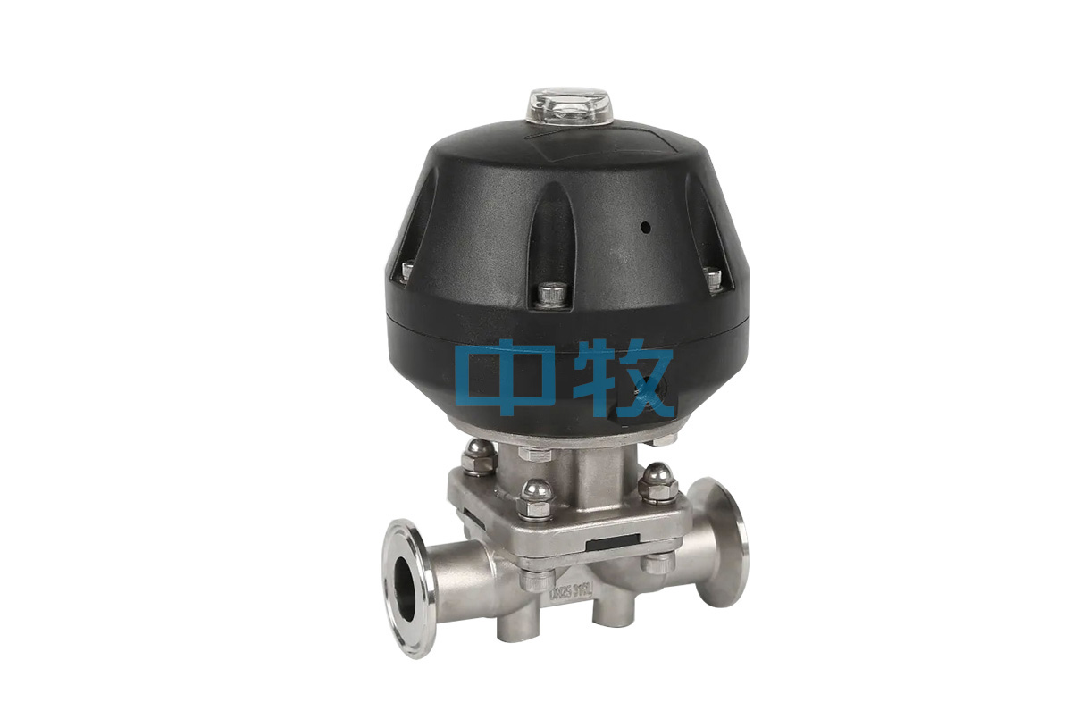 Health pneumatic diaphragm valve